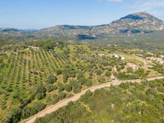 Country House Sardinia – San Pantaleo