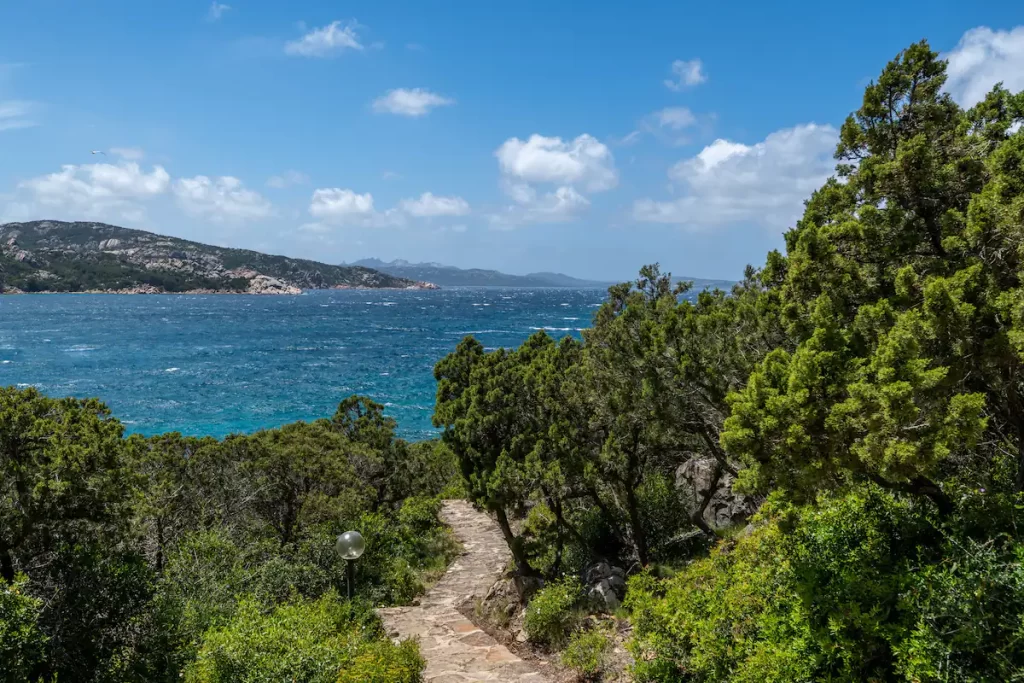 Waterfront Villa Porto Cervo In Affitto Lisica Di Vacca