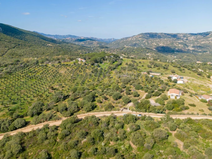 Country House Sardinia – San Pantaleo